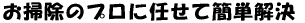 F{us̃nEXN[jO̓RRI |̃vɔCĊȒP