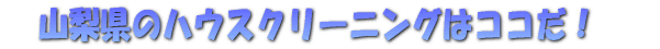 Rg̃nEXN[jO̓RRI |̃vɔCĊȒP